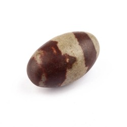 Narmadeshwar Shivling Original – Natural Narmada Stone Shiva Lingam
